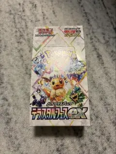 2025年最新】テラスタルフェスex BOX シュリンクありの人気アイテム