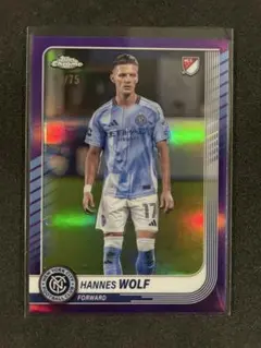 Item thumbnail for item 10daa041-a7bc-44e5-8fa9-388cadc37119