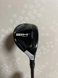 SIM2 MAX ユーティリティ 22度