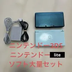 まなしお様専用ニンテンドー3DS DS ライト本体 ソフト大量セット