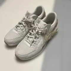 Nike Air Max スニーカー