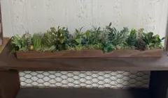 ウォールバーグリーン　★フェイクグリーン ★インテリア雑貨