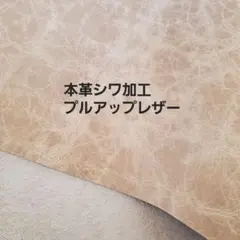 Item thumbnail for item da93850b-b4ab-419c-b912-569cc9532319