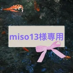miso13様 リクエスト 2点 まとめ商品