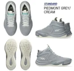 asics NOVA SURGE 3 バッシュPIEDMONTGREY 24.5 - メルカリ