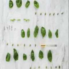 パフュームオイルファクトリー 8ml 18番　バジルカルダモン　おまけつき