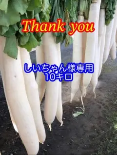 しいちゃん様専用 10キロ