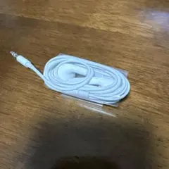 Apple iPhone 付属品　純正イヤホンジャック　新品