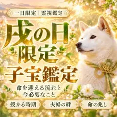 【霊視鑑定・10/15戌の日限定】子宝鑑定｜不妊・夫婦関係・仕事・開運　占い