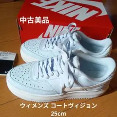 【中古美品】NIKE コートヴィジョン ALTA TXT 　水色 25cm