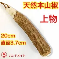 ⑤♦️上物　すりこぎ棒　20cm 太さあり　天然本山椒　群馬県産　国産山椒の木のサムネイル