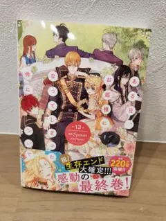 ある日、お姫様になってしまった件について 13