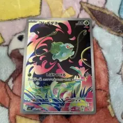 フシギダネ ARHP80
