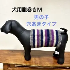 犬用腹巻きＭ　男の子　Ｈ639