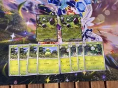 な*び様 ポケカ　オリーヴァex 進化ライン