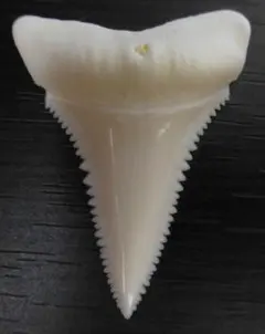 あめさん様 リクエスト 2点 まとめ商品