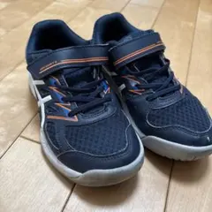 Item thumbnail for item 7d7a438a-15d5-4f42-bbc0-a88c6aa1632c