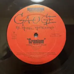 アングラ名盤Gauge The Mental Murderah DJ Koco