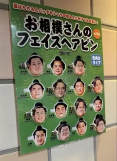お相撲さんヘアクリップ　3点セット