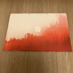 THE FALL 落下の王国 パンフレット