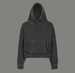 entire studios heavy hoodieのサムネイル