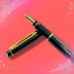 《未使用に近い》 ウォーターマン エキスパートエッセンシャル 万年筆のサムネイル