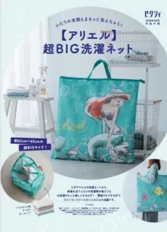 ゼクシィ 2026年 4月号 【付録】 　　　　アリエル 超BIG 洗濯ネット