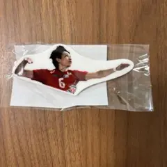 バレーボール日本代表 山内晶大選手 前髪クリップ うちわ型アクリルキーホルダー