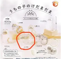 Item thumbnail for item 825334dc-5a64-4f63-9b4e-1f03e63c2746