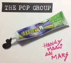 ＊中古CD THE POP GROUP/HONEYMOON ON MARS+1