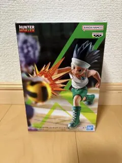 HUNTER×HUNTER フィギュア-ゴン-G.I.編