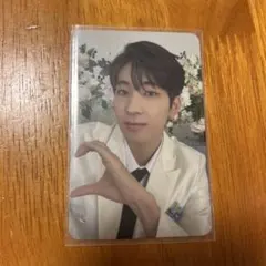 SEVENTEEN ウォヌ FML carat盤 トレカ