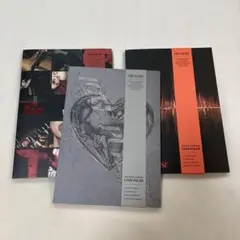 treasure LOVEPULSE 開封済み　3形態