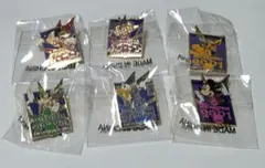 非売品　東京ディズニーランド　2001年　カウントダウン　ピンバッチ
