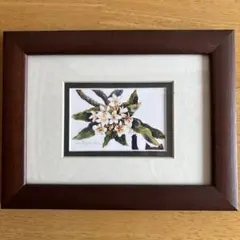 水落たけ乃 花のメルヘン 油彩 額装絵画 - 일본구매대행 직구 재팬큐