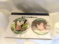 香賀美タイガ　缶バッジ2個セット