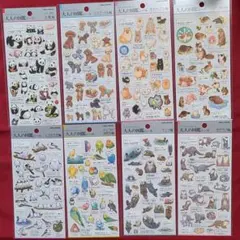 ち*こ様 大人の図鑑シール　８枚　カミオジャパン