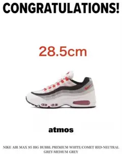 NIKE AIR MAX エアーマックス95 レッドグラデ　28.5cm