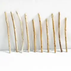 Item thumbnail for item d65db0e3-a6d4-47c5-a144-c20017ec2ddc