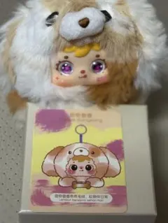 samuel サミュエル　lovely dog 犬　オレンジ