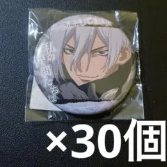 dr.stone アニメイト限定 台詞 缶バッジ 暁 氷月 30個