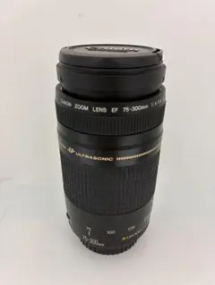 2026年最新】EF 75-300mm F4-5.6 is usmの人気アイテム - メルカリ