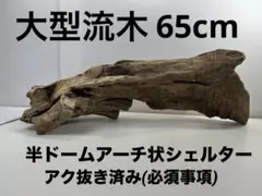 Item thumbnail for item b5a1b5fc-21d9-43f8-81fc-e42d3bf04f08