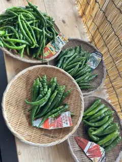韓国青唐辛子　4種類入り　お楽しみセット400g オマケも必ずつけます！のサムネイル