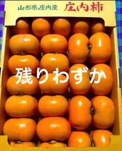 庄内柿 訳あり 規格外 6kg超 26〜29個
