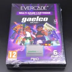 ガエルコ アーケード1 Gaelco Arcade 1 Evercade