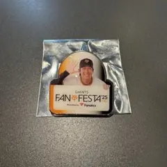 甲斐拓也 記念グッズ