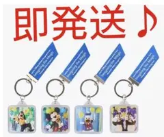 ディズニー イマジニングザマジック キーチェーン 蜷川実花コラボグッズ