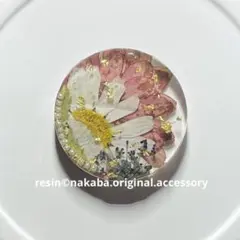 Item thumbnail for item 92942462-8707-4dbe-82cf-e9916a1c0ed1