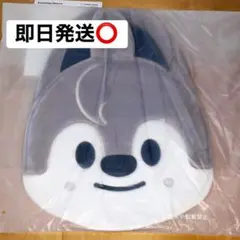 StrayKids ペンミ　little house うちわ　バンチャン　ケース StrayKids ペンミ little house うちわ バンチャン ケース | Mercari
